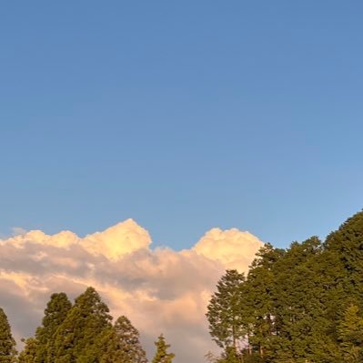 r_ks22's profile picture. 春から神戸大経営  #春から神大