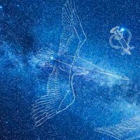 天津四ㄊㄧㄢㄜˊㄗㄨㄛˋα (@deneblecygne) 's Twitter Profile