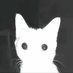 Browncheese (@brownchees245) Twitter profile photo Browncheese (@brownchees245) Twitter profile photo