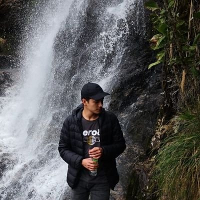 Honaldosantos17's profile picture. Biología (UP)