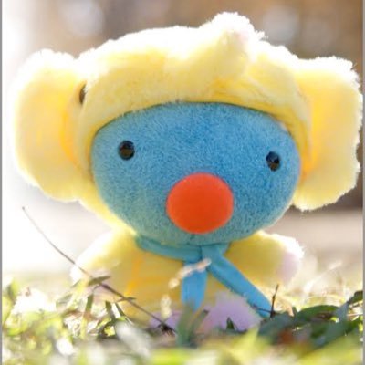 hemuhemu_0828's profile picture. 新しくしてみた