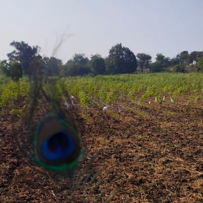 DineshRathwa16's profile picture. 