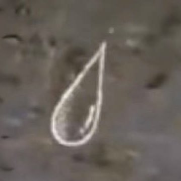 kkkurorid1003's profile picture. she/her｜中文 & English👌｜不要转载我的图到别的平台