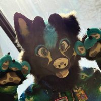 Goune⭐️ (@gounebeedog) 's Twitter Profile Photo
