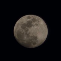 Diego H (@dondiegohf) 's Twitter Profile