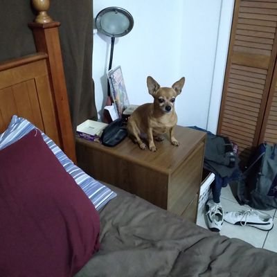 AlejandroMarz18's profile picture. 