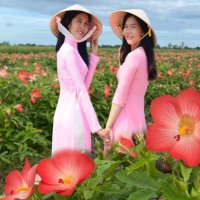 Sâm Hoàng Ngọc (@samhoangngoc) 's Twitter Profile