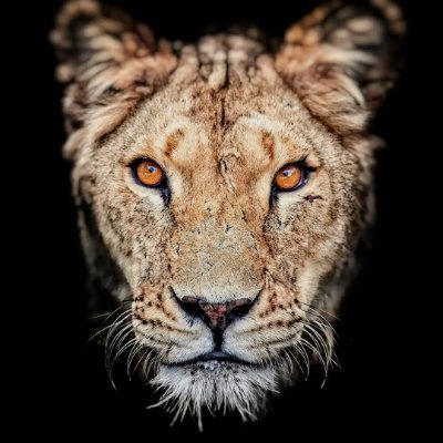 pkb108's profile picture. Education is the key to unlock the golden door...