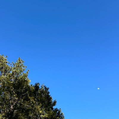 jerryzhou44699's profile picture. 