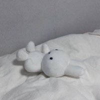 Noong_ning ;) (@kaniiiing) 's Twitter Profile Photo Noong_ning ;) (@kaniiiing) 's Twitter Profile Photo