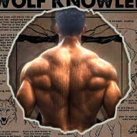 𝐔𝐥𝐫𝐢𝐜𝐡 𝐀𝐝𝐚𝐥𝐰𝐨𝐥𝐟 (@the_alpha_adal) 's Twitter Profile