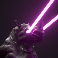 KW₳RXS_NFT (@kwarxs_nft) 's Twitter Profile Photo KW₳RXS_NFT (@kwarxs_nft) 's Twitter Profile Photo