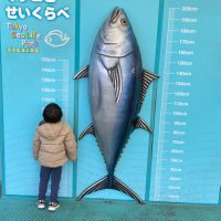 KEN (@skytree104) 's Twitter Profile