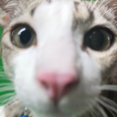 NoriAYEさんのプロフィール画像