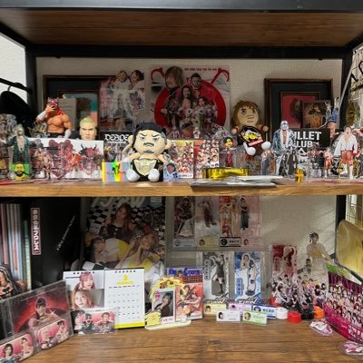 プロレスに人生を狂わされた幸せ者。語彙力ないので簡素な感想。配信で試合見てる時はTL荒らすかも。ヘッダーは最後に行った会場。 @tiger_65_←鍵垢
