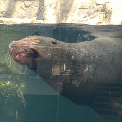 kos_erba's profile picture. コスあか
名前は(仮)です
雑草│学生

コスプレ初心者🔰　SNS初心者🔰　色々疎い