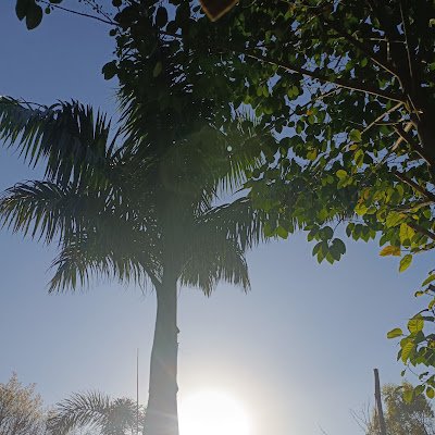 rajayadav43150's profile picture. 