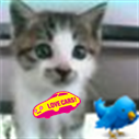 KAZ_SA's profile picture. LOVECARS!-No.421