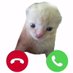 🐀🥖🇫🇷 (@yomche_of) Twitter profile photo 🐀🥖🇫🇷 (@yomche_of) Twitter profile photo