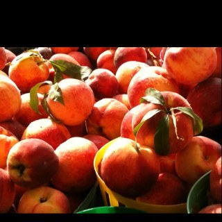 imaginefoodies's profile picture. Imagine Festivals brings you culinary adventures in Chicago & now Boulder! ~ events, tastings, festivals, and chef gatherings & shindiggs.