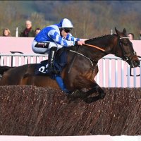ππ«π’π¬π‘ ππππ’π§π (@irishracin) 's Twitter Profile Photo ππ«π’π¬π‘ ππππ’π§π (@irishracin) 's Twitter Profile Photo