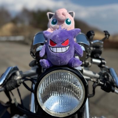 freeze808jp's profile picture. ポケGOで体力削ってポケポケで運を削ってポケまぜでアタマすり減らしたのちポケプラ組んでポケスナやってポケスリで寝る生活🤠週末ライダー🏍️撮影好き📷ゲームはガチるよりコレクト優先ゆるゆる派⏩シャイなもんで無言フォロースミマセン🙇
