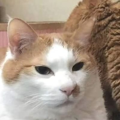 栗山ミオさんのプロフィール画像