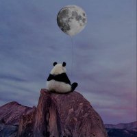Zubeyde Eldek (@zubeyde_eldek) Twitter profile photo