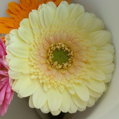 みやな。さんのプロフィール画像