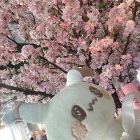cocco(*´ω`) (@1034koto) 's Twitter Profile