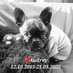 mrs.blooms (@3kids2dogs1life) Twitter profile photo mrs.blooms (@3kids2dogs1life) Twitter profile photo