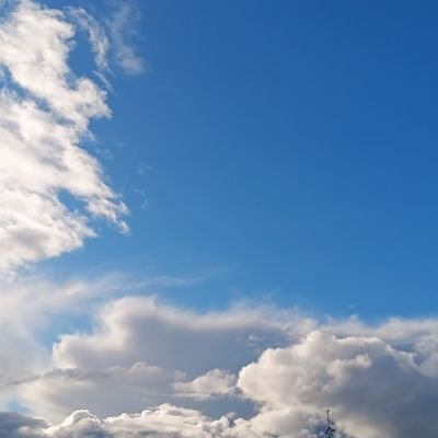 Imsleepin1234's profile picture. 