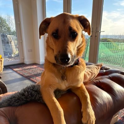 GaryHow2883723's profile picture. 