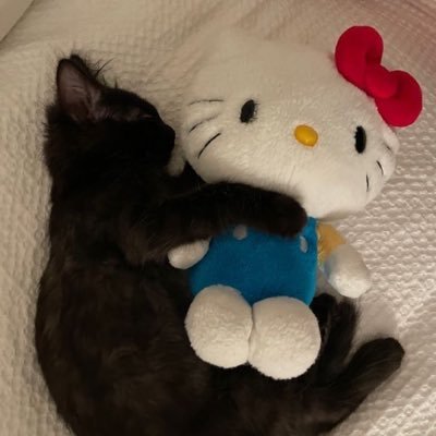 ᴘ 'ㅅ'さんのプロフィール画像