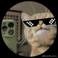 Gïfțêð (@itz_giftedmee) 's Twitter Profile