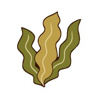 Hastings Kelp Project (@hastingskelppro) 's Twitter Profile Photo
