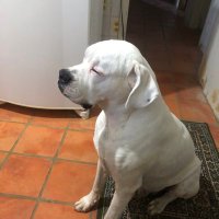 Eloi Mazzochini (@eloimazzoc36905) 's Twitter Profile