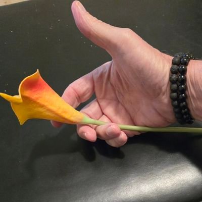 Here for truth, reality taken in a humorous light. learn from yesterday, live for today, then have a more educated tomorrow…
https://t.co/B9X1HGs7zK.. My penis is Dick