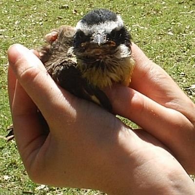 Lorena__Alonso's profile picture. ❤️🇦🇷✌🏻
LA PATRIA NO SE VENDE