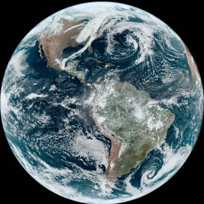 BraveBoyFreedom's profile picture. Creator!!