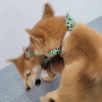 หลุมดำ 🎀BottomLEX Supremacy🎀 (@blackhole1011) 's Twitter Profile Photo