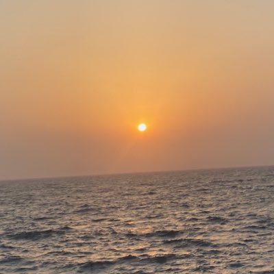 AlvinEvy's profile picture. 区块链从业者