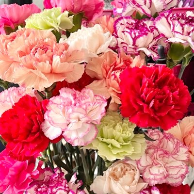 zafbE5vMOo25866's profile picture. M Mサバイバー。 血液癌の多発性骨髄腫 2019年に診断を受け自家移植し寛解、5年後の2024年再度癌が活発化。同病の方と情報交換できたらと思っています。無言フォローご容赦下さい。