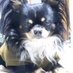ヘル・ワーダー (@herr_hatten3) Twitter profile photo ヘル・ワーダー (@herr_hatten3) Twitter profile photo