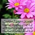 Naveed Ahmad (@naveeda57778828) Twitter profile photo Naveed Ahmad (@naveeda57778828) Twitter profile photo