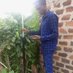 Ninsiima Kenneth (@_ninsiimak) Twitter profile photo Ninsiima Kenneth (@_ninsiimak) Twitter profile photo