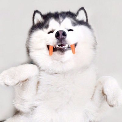 @Qnttm