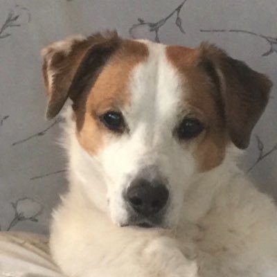 Cm85195Sandra's profile picture. God Bless President Donald Trump🇺🇸🙌🏻