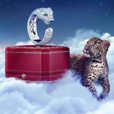 aoisora510t7282's profile picture. アニメ好きです。銀魂、ナルトおそ松さん好きです