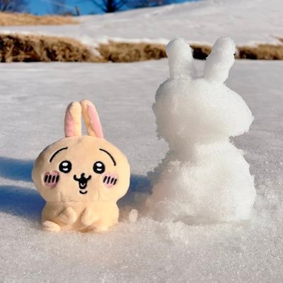 いき( ＞∀σ)ノ ♡ (≖ˇ_ˇ≖)さんのプロフィール画像